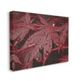 thumbnail image 3 of Stupell Industries Red Maple Leaves Botanical & Floral Photography Gallery Wrapped Canvas Print Wall Art, 40 x 30, 3 of 7