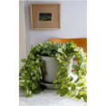 thumbnail image 4 of The HC Companies Pot de Fleurs Classique en Plastique 24 Pouces, Marron (12 Pack), 4 of 6