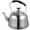 Silver, variant on Yongwei Vintage Stainless Steel Tea Kettle 3L: Stovetop with Insulated Handle