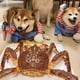 thumbnail image 2 of Disfraz de perro Methold Daga para mascotas Halloween Navidad S, 2 of 6