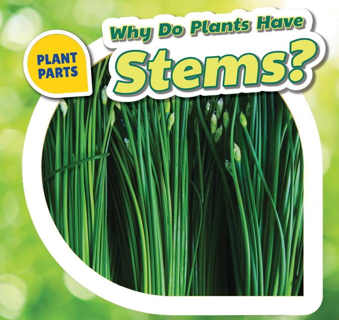 Plant Parts Why Do Plants Have Stems? (Hardcover)