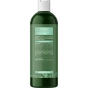 Clarifying Shampoo for Oily Hair and Scalp - Degrease Deep Cleansing Shampoo Build Up Remover with Rosemary Oil for Greasy Hair & Scalp - Vegan Color Safe Sulfate Paraben & Cruelty Free (8 Fl Oz)