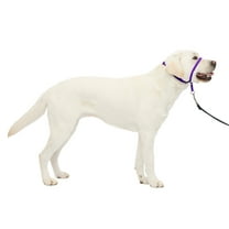 PetSafe Gentle Leader Headcollar, No-Pull Dog Collar, Large 60-130 lb, Purple