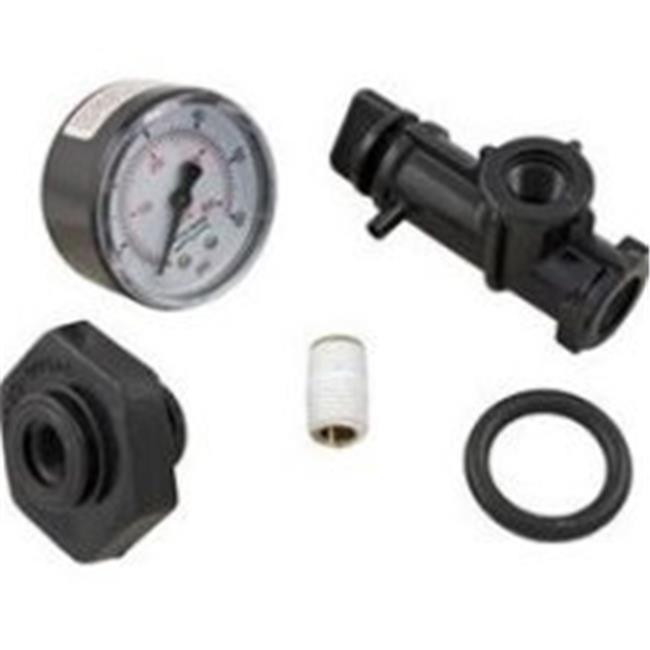 Pentair 248500105 Valve & Gauge Assembly StaRite Pool & Spa