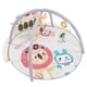 thumbnail image 5 of Esteras De Juego Para Gimnasios Para Bebés, Estera De Actividades Musicales Para Bebés, Educación Temprana Con Para Bebés, 5 of 7