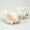 4"-5.3", white, 2pcs, variant on Sinkoo Giant Sea Shells, 6"-7" Natural Striped Fox Conch Shells, Large Craft Seashells for Vase Filler, Air Plants, Wedding Decor Beach Theme Party