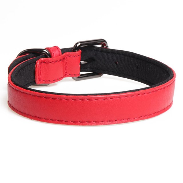 Collar de perro de ajuste ceñido, collar ajustable con hebilla acolchada, adecuado para perros pequeños, medianos y grandes
