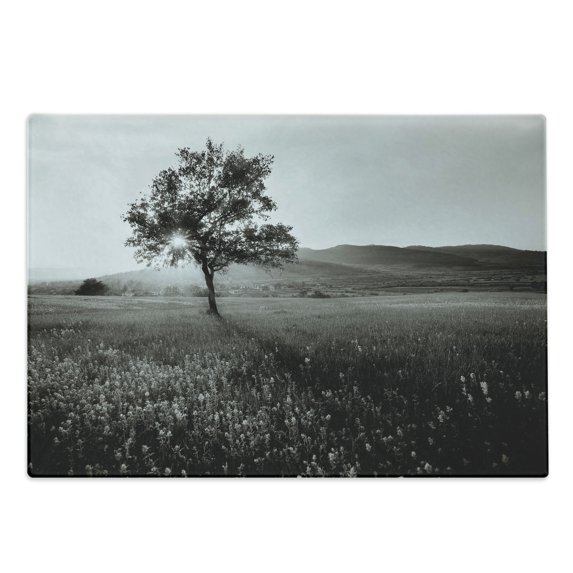 Black and White Cutting Board, Lonely Tree in the Rural Landscape Nature Hills and Outdoors Illustration, Decorative Tempered Glass Cutting and Serving Board, Large Size, Pale Grey, by Ambesonne
