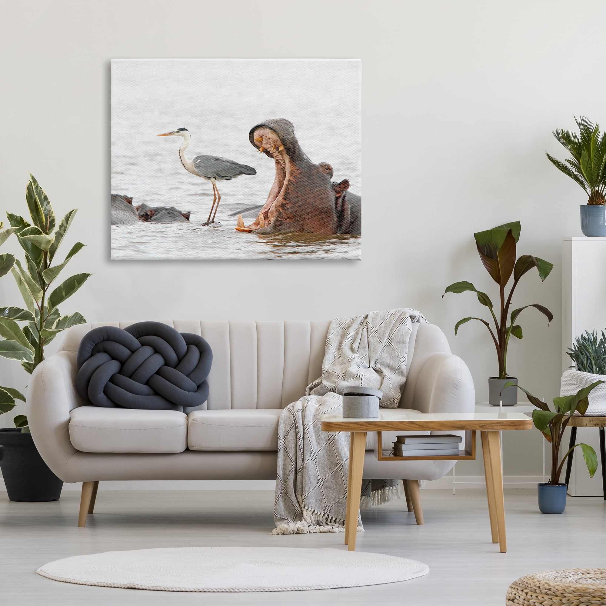 Stupell Industries Hippo & Heron Photography Animals & Insects Photography Gallery Wrapped Canvas Art Print Wall Art, 48 x 36