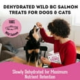 thumbnail image 5 of Pet Treatery Wild Salmon Treats for Dogs & Cats (3 oz, Pack of 1), 5 of 8