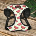 thumbnail image 6 of Didog Cute Dog Harness Reflective Soft Breathable Mesh Cat Pet Puppy Vest for Small Medium Breeds Jack Russell Pug, 6 of 9