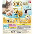 thumbnail image 5 of Magnetite Cat Capsule Toy Animal Raccoon Puppet Car Ornaments Eat Fish Tiger Pattern Figure Movable Model Toys, 5 of 5