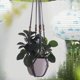 thumbnail image 4 of Colgador de macramé para interior y exterior, juego de maceteros colgantes hechos a mano con cuerdas y cuentas de madera, colgador decorativo de macramé para el hogar, maceta no incluida, 4 of 6