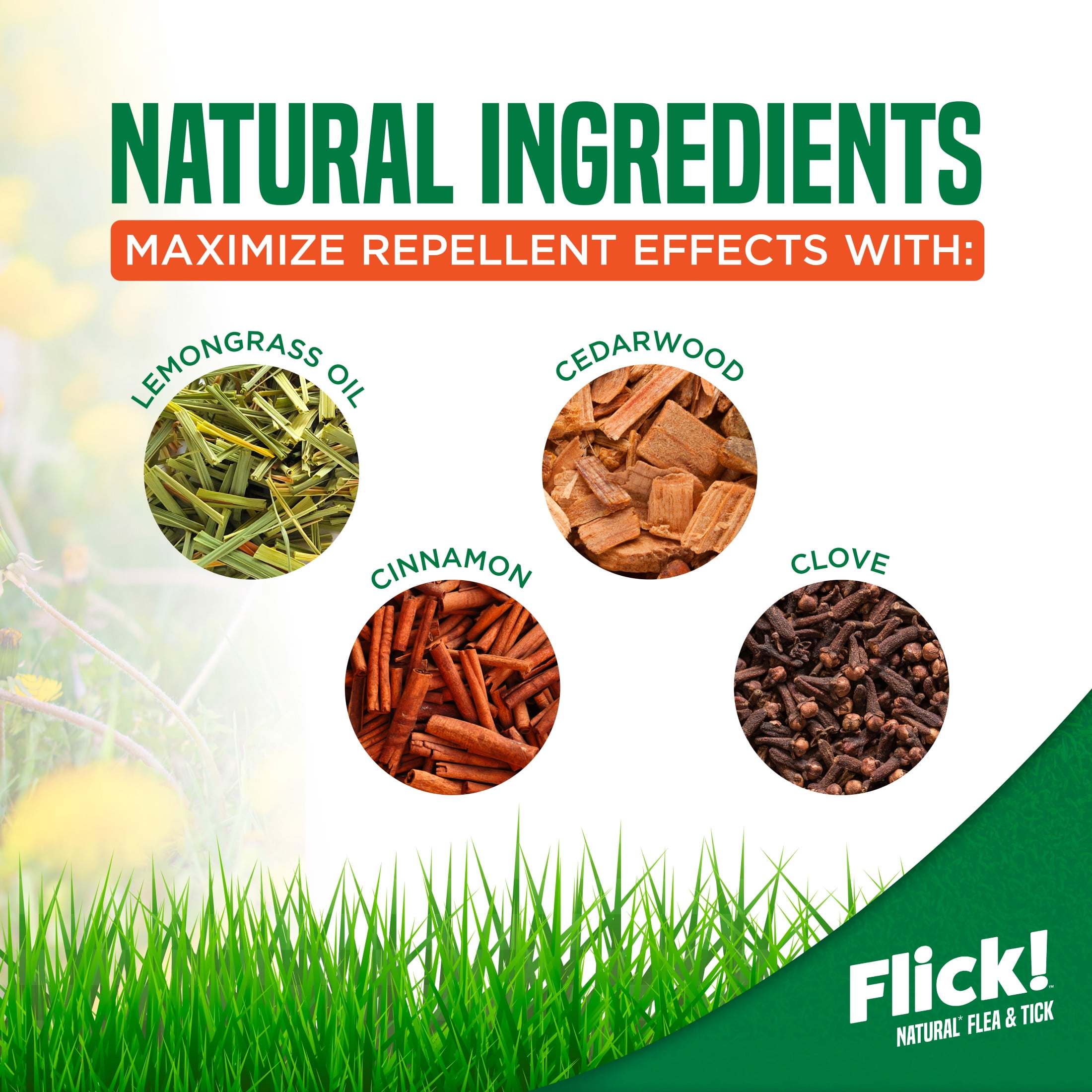 Naturel Promise Flick! Natural Flea & Tick Max Strength Spray for Dogs, 16oz