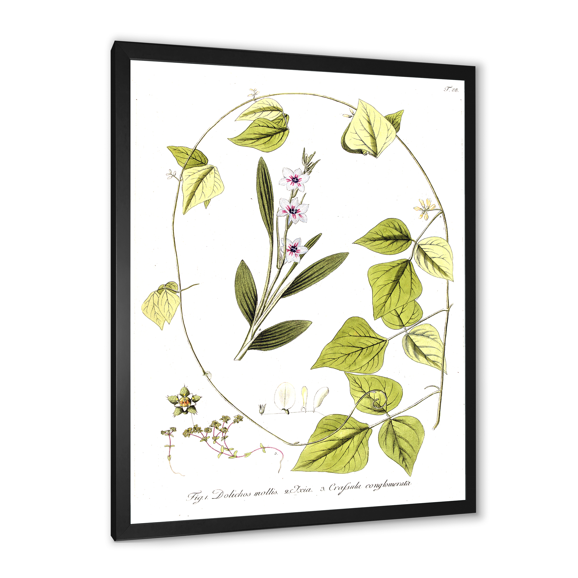 Designart 'Ancient Botanicals XXI' Traditional Framed Art Print