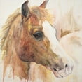 thumbnail image 2 of Kamdon Kreations 20x20 White Modern Wood Framed Museum Art Print Titled - Watercolor Horse, 2 of 4