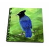 3dRose A Stellars Jay digital painting with an abstract green background - Mini Notepad, 4 by 4-inch