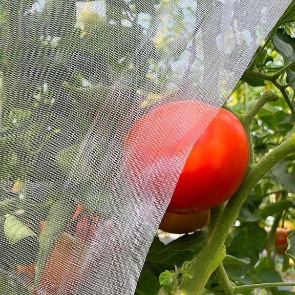 Garden Mesh Netting 10'x33' Plants Covers Ultra Fine Bug Cover Keep Trees Vegetables Fruits from Cicada Mosquito Netting for Patio Crops Flowers Protection Cicada Insect Net (White)