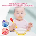 thumbnail image 4 of Children's Complementary Food Bowl Children's Tableware Baby Sucker Bowl Childre, 4 of 5