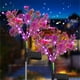 thumbnail image 1 of Luces solares decorativas para jardín al aire libre, paquete de 2 luces de flores de Phalaenopsis con energía solar, 1 of 6