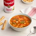 Campbell's Condensed Vegetarian Vegetable Soup, 10.5 oz Can