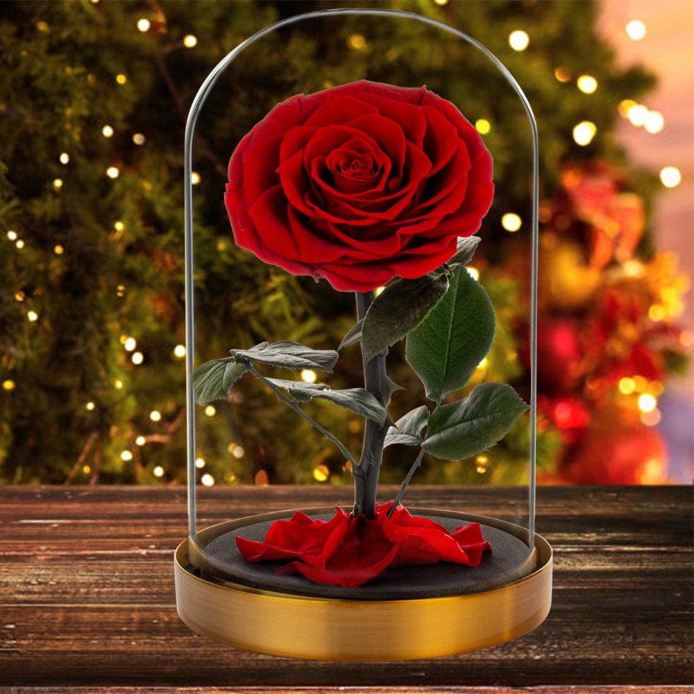 LiuMoly Enchanted Rose Made from Real Rose That Last for Years-Forever