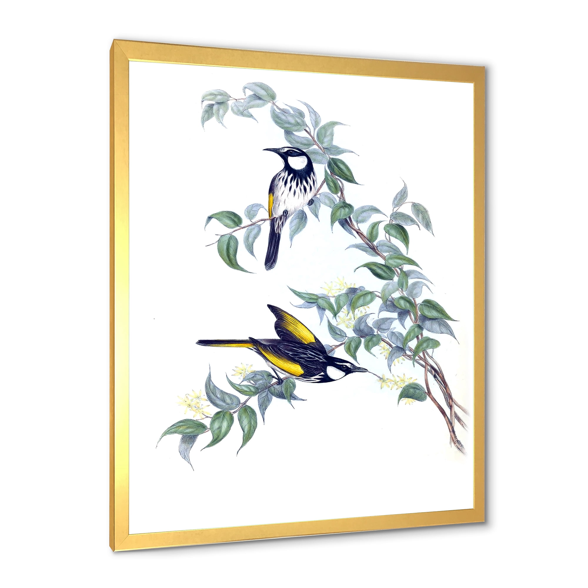 Designart 'Ancient Australian Birds On A Branch' Traditional Framed Art Print