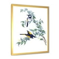 thumbnail image 2 of Designart 'Ancient Australian Birds On A Branch' Traditional Framed Art Print, 2 of 4