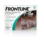 FRONTLINE