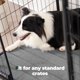 thumbnail image 4 of Dog Crate Pad, Dog Foam Crate Mat Kennel Pad, Washable Water-Resistant Pet Bed Flat Dogs Cage Mat for X-Large Dogs, 4 of 5