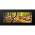 thumbnail image 2 of Galasso, Adriano 18x9 Black Modern Framed Museum Art Print Titled - Sentiero nel bosco, 2 of 5