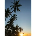 thumbnail image 2 of Merrill Images 15x18 Gold Ornate Wood Framed with Double Matting Museum Art Print Titled - Fiji-Vanua Levu Beach sunset with palm trees, 2 of 4