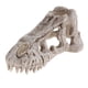 thumbnail image 1 of e Vivarium Decoración Acuario Ornamento Subacuático Esqueleto de tiranosaurio Yuyangstore Adorno de acuario de reptil, 1 of 8