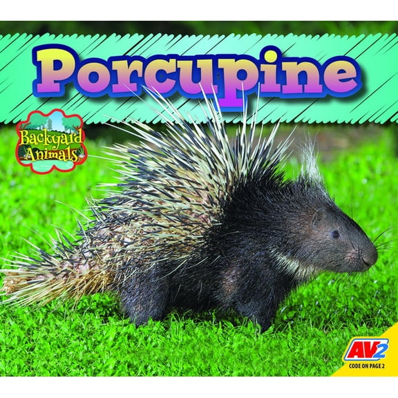 Backyard Animals: Porcupine (Paperback)
