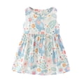 thumbnail image 1 of Vestido Para Niñas Ropa Para Bebés Ropa De Verano Para Niños Pequeños Vestido Sin Mangas Estampado Gráfico Ropa Para Niños Azul Odeerbi LM103-2145, 1 of 4