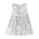 thumbnail image 1 of Vestido Para Niñas Ropa Para Bebés Ropa De Verano Para Niños Pequeños Vestido Sin Mangas Estampado Gráfico Ropa Para Niños Azul Odeerbi LM103-2145, 1 of 4