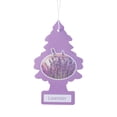 thumbnail image 1 of Natural Scented Car Aromatherapy Pendant - Elegant Interior Decor & Freshener, 1 of 7