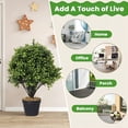 thumbnail image 5 of Poetree 2PCS 24 Inch Tall Boxwood Ball-Shaped Artificial Topiary w/Pot Indoor/Outdoor, 5 of 11