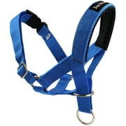 Dog Head Collar Halter Blue 5 Sizes (L: 10.25"-12.25" Snout)