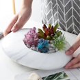 thumbnail image 3 of Creative Desktop Flowerpot Chic Tabletop Flowerpot Elliptical Pebble Flower Pot, 3 of 4