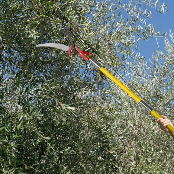 Pole Saws for Tree Trimming, 6.5-30 FT Extendable Tree Trimmers Long Handle Pruner Set, Sharp Steel Blade and Scissors High Branches Trimming for Backyard, Garden, Bush Cutting, Yellow