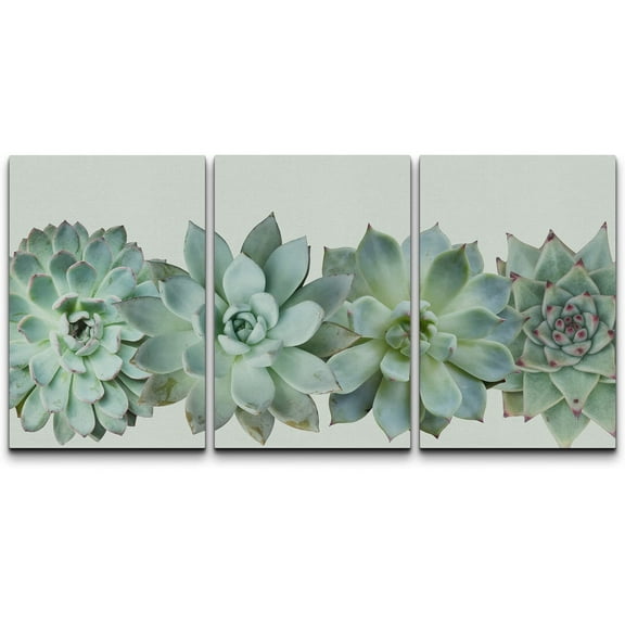 wall26 Canvas Print Wall Art Set Desert Succulent Variety Closeup Floral Plants Photography Realism Southwest Group Colorful Multicolor Cool for Living Room, Bedroom, Office - 16"x24"x3