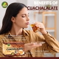thumbnail image 3 of Cuachalalate Herbal Tea Bags – Natural Digestive Support Tea, Caffeine Free Herbal Infusion, Traditional Bark Tea, 20 Tea Bags, 3 of 5