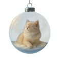 thumbnail image 2 of Cute Cat Christmas Glass Ornaments,Tabletop Ornaments for Christmas Tree,Xmas Tree Kitten Ball Ornament Holiday Decor for Cat Lovers,Xmas Home Party Centerpiece Mantel, Fall Winter Home Decor, 2 of 9