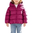 thumbnail image 3 of Wilark Toddler Girls Hooded Coats with Pockets Thickened Cute Casual Winter Long Sleeve Quilted Jacket Wine 2, 3 of 9