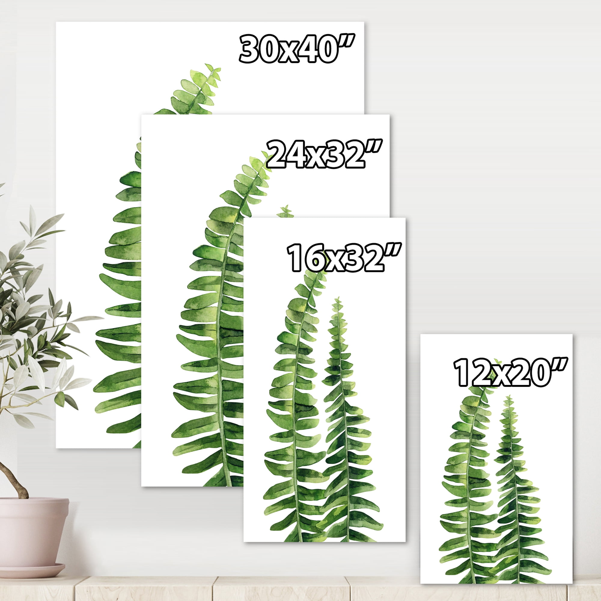 Designart ' Fern Plant Leaves Detail IV ' Farmhouse Canvas Wall Art Print