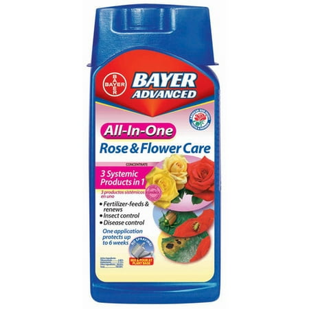 Bayer All-In-One Rose and Flower Care Concentrate (Best Time To Fertilize Roses)