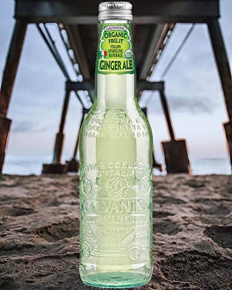Galvanina - Ginger Ale - Premium Organic Italian Sparkling Soda - 12 fl oz (6 Glass Bottles)