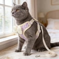 thumbnail image 4 of EGNMCR Checked Pet Strap And Leash Set Breathable Mesh Vests With Adjustable Straps Suitable For Small And Medium Cats And Dogs polyester harness leash, 4 of 6
