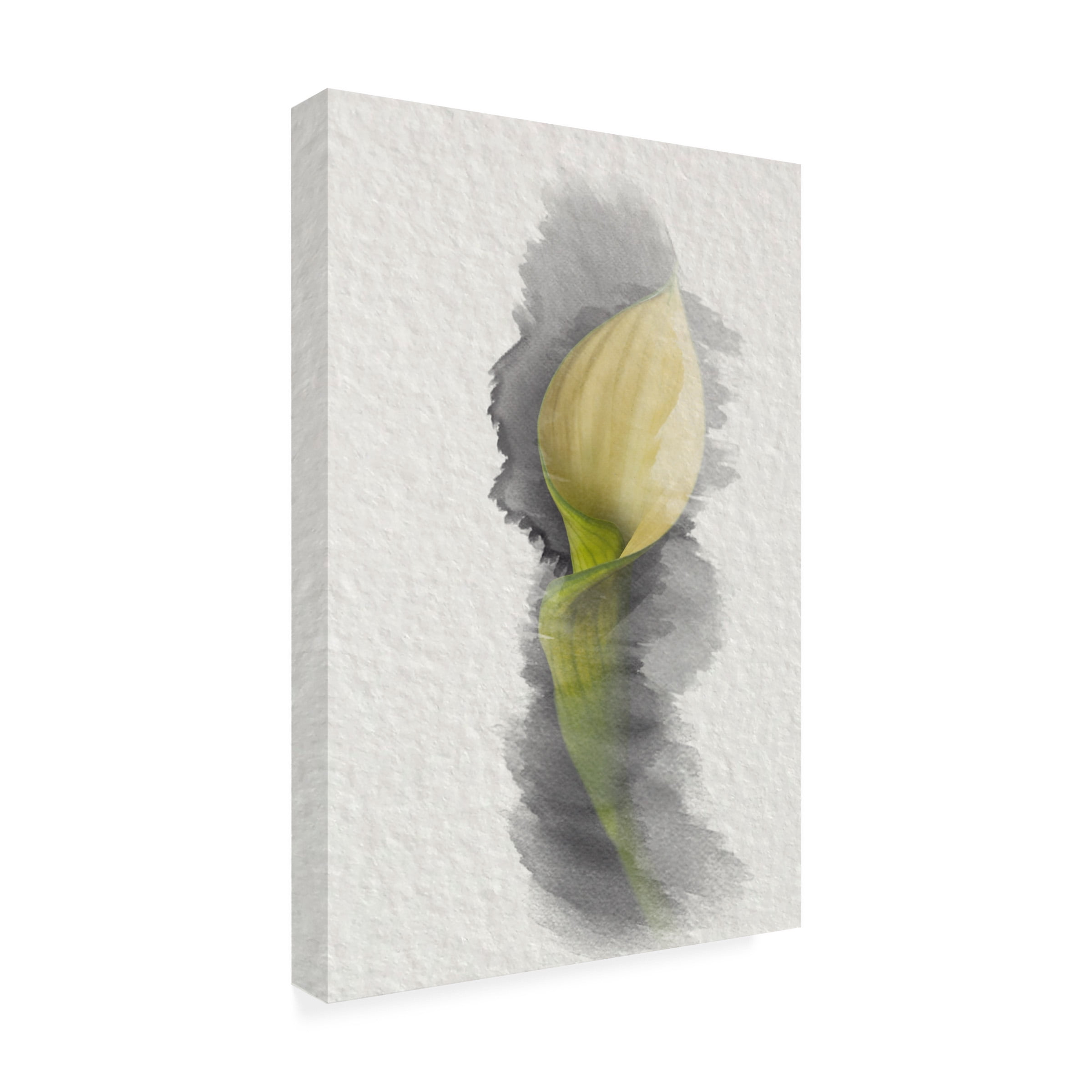 Lori Hutchison 'Yellow Calla Lily' Canvas Art